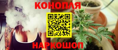 гашик Обнинск