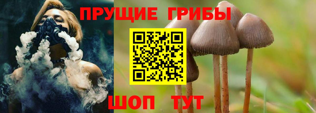 Галлюциногенные грибы Psilocybe  Вход с VPN  хочу   Ставрополь 
